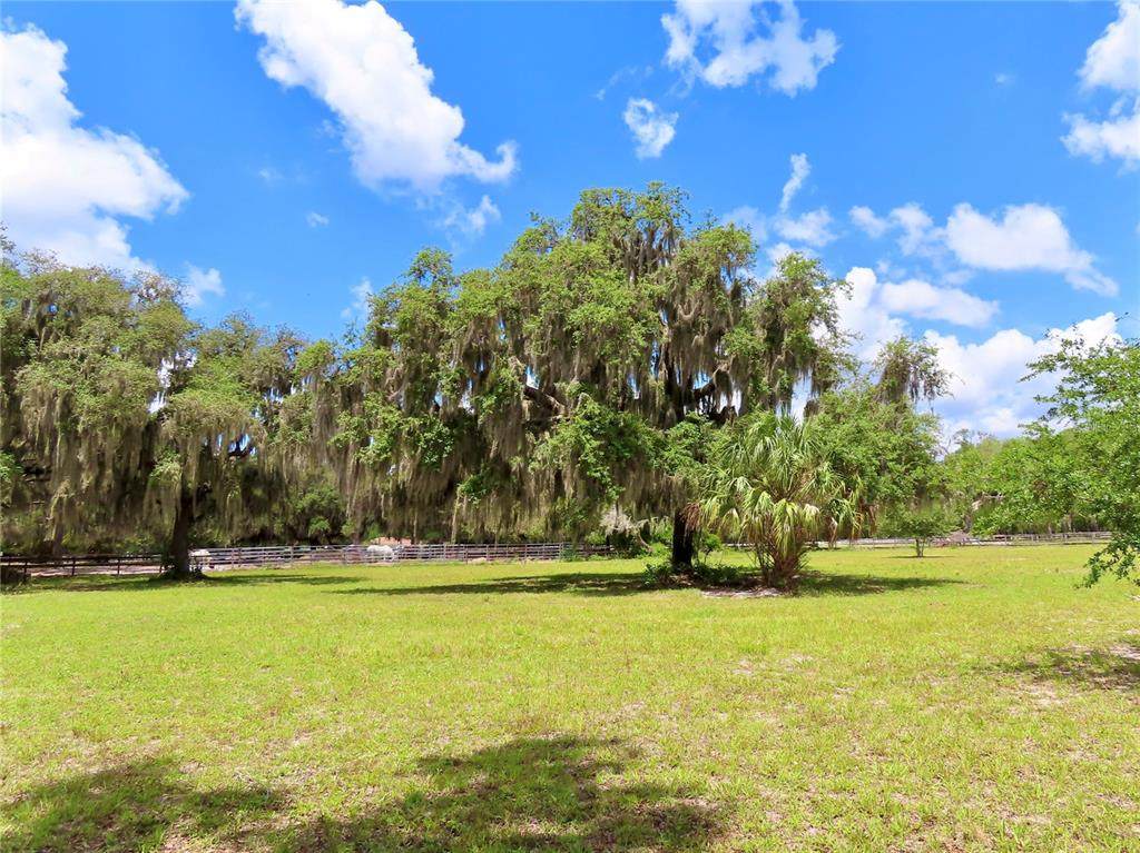 000 Myakka Road - Photo 1