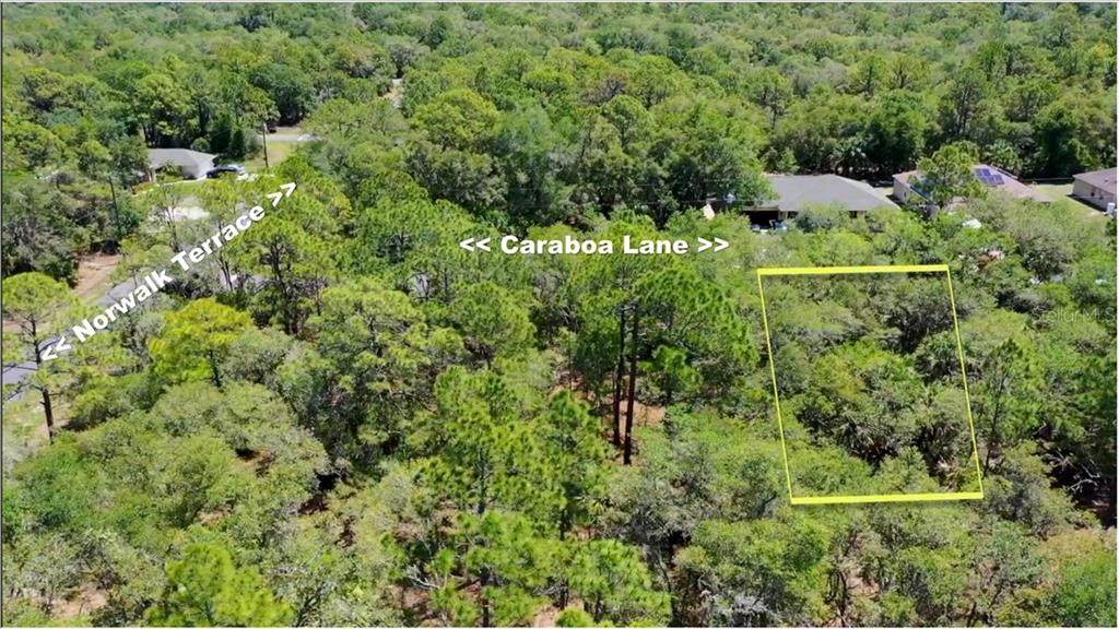 1313 Caraboa Lane - Photo 1