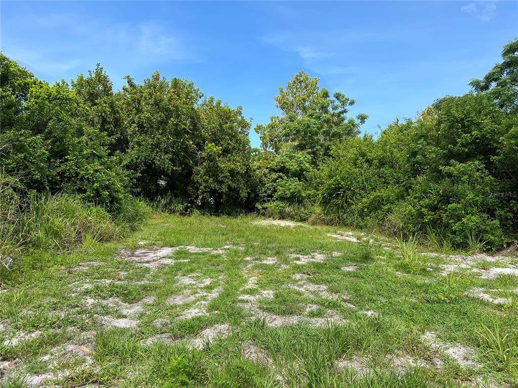 946 Southland Road - Photo 1