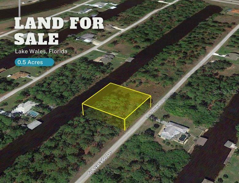 7 Avocado Drive - Photo 1