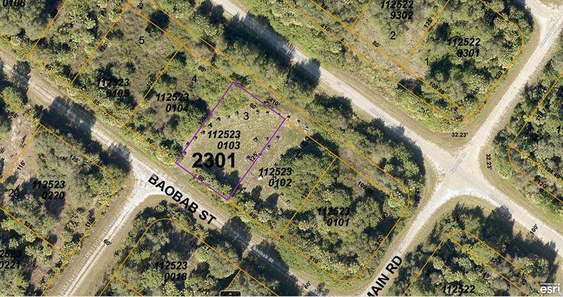 1125230103 Baobab Street - Photo 1