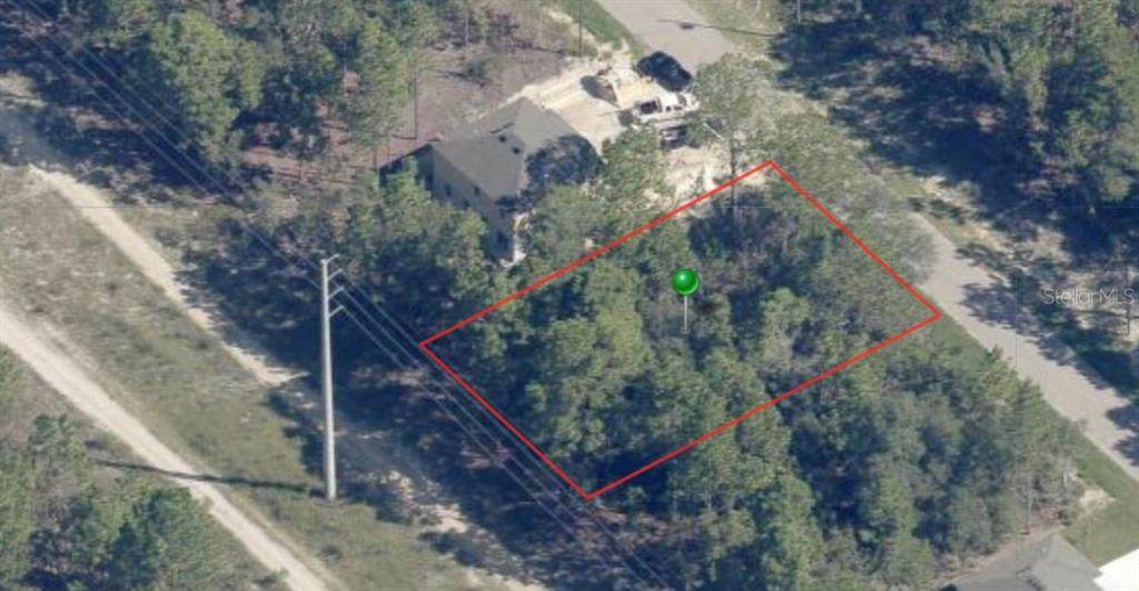 9304 Cortlandt Drive - Photo 1