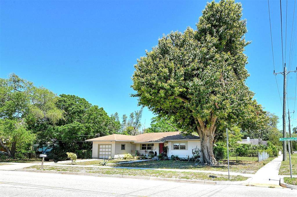 1504 Cocoanut Avenue - Photo 1