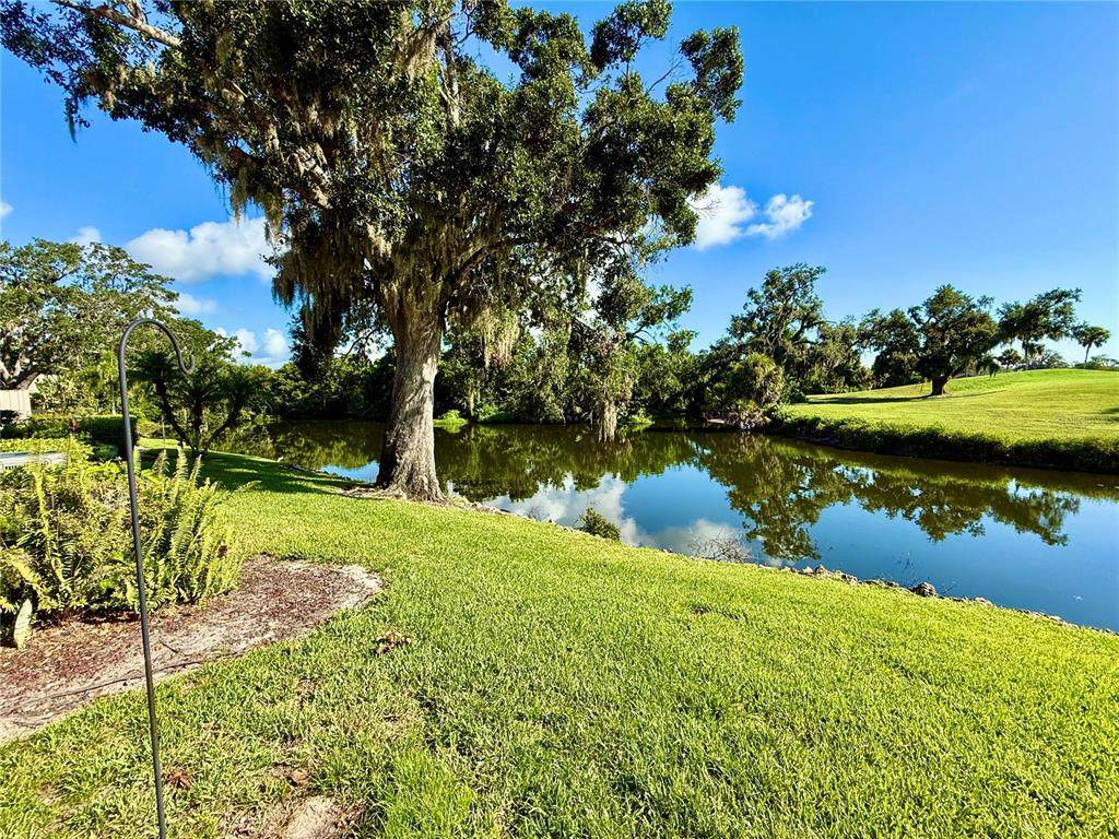 4547 Forest Wood Trail - Photo 1