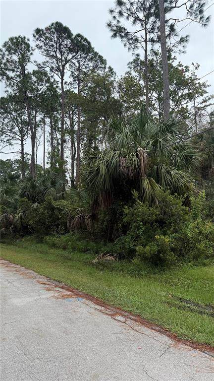 10 Poindexter Lane - Photo 1