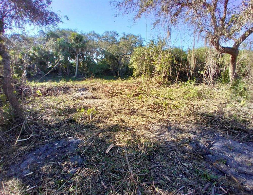 4193 Chippewa Street - Photo 1