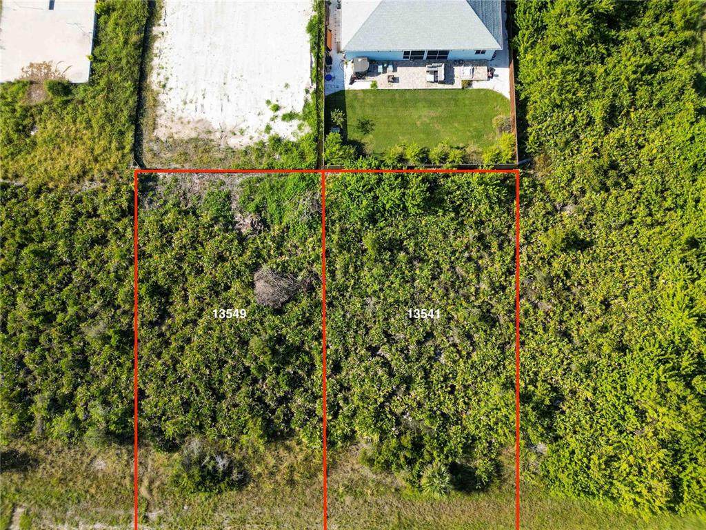 13549 Abutilon Lane - Photo 1