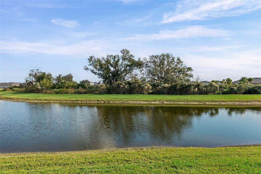 9216 Westernwoods Avenue - Photo 1