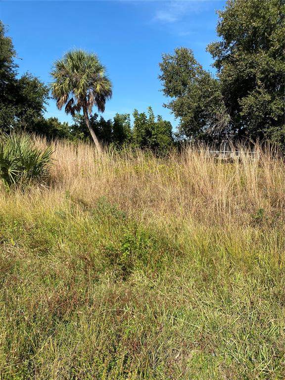  Saragossa Lane - Photo 1