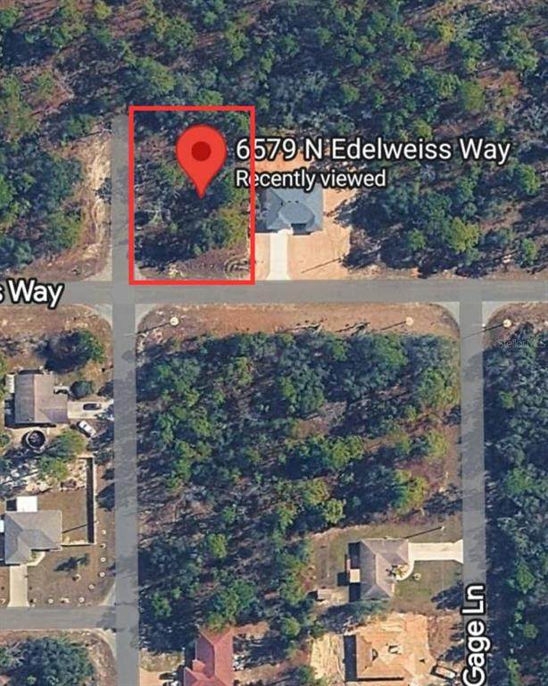 6579 Edelweiss Way - Photo 1