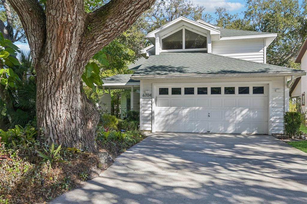 6704 Arbor Oaks Drive - Photo 1