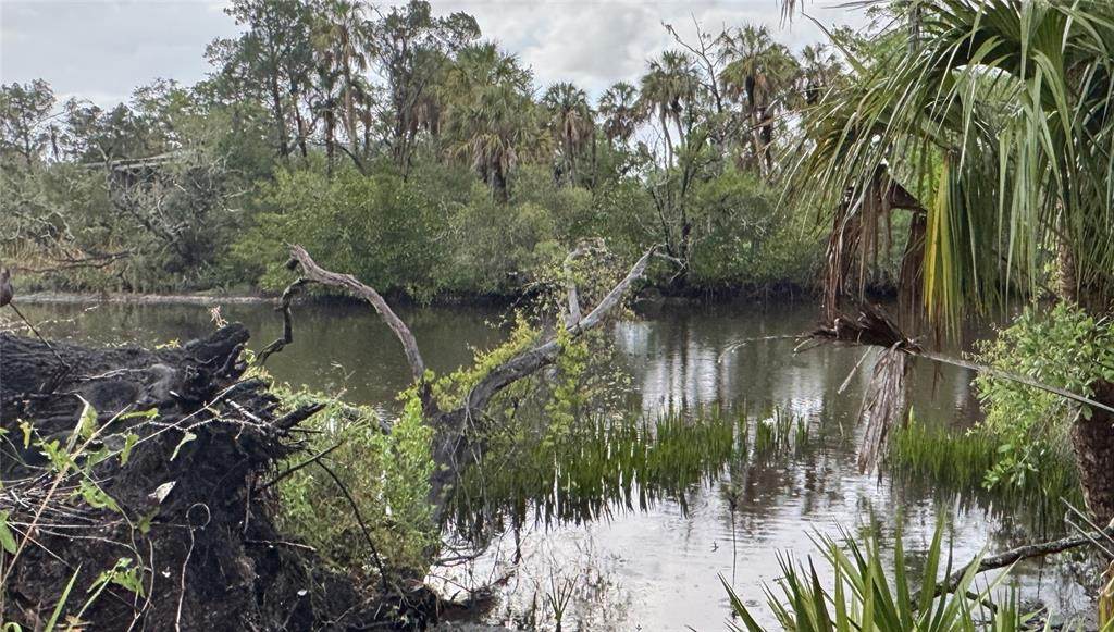12817 Upper Manatee River Road - Photo 1