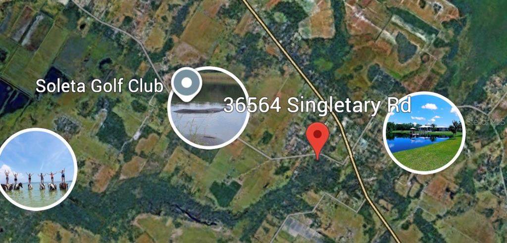36564 Singletary Road - Photo 1