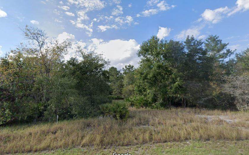 1451 Kissimmee Way - Photo 1