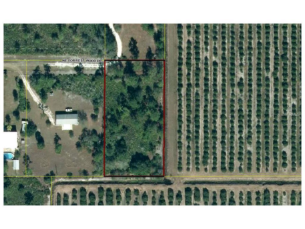 3741 Forrest Wood Drive - Photo 1