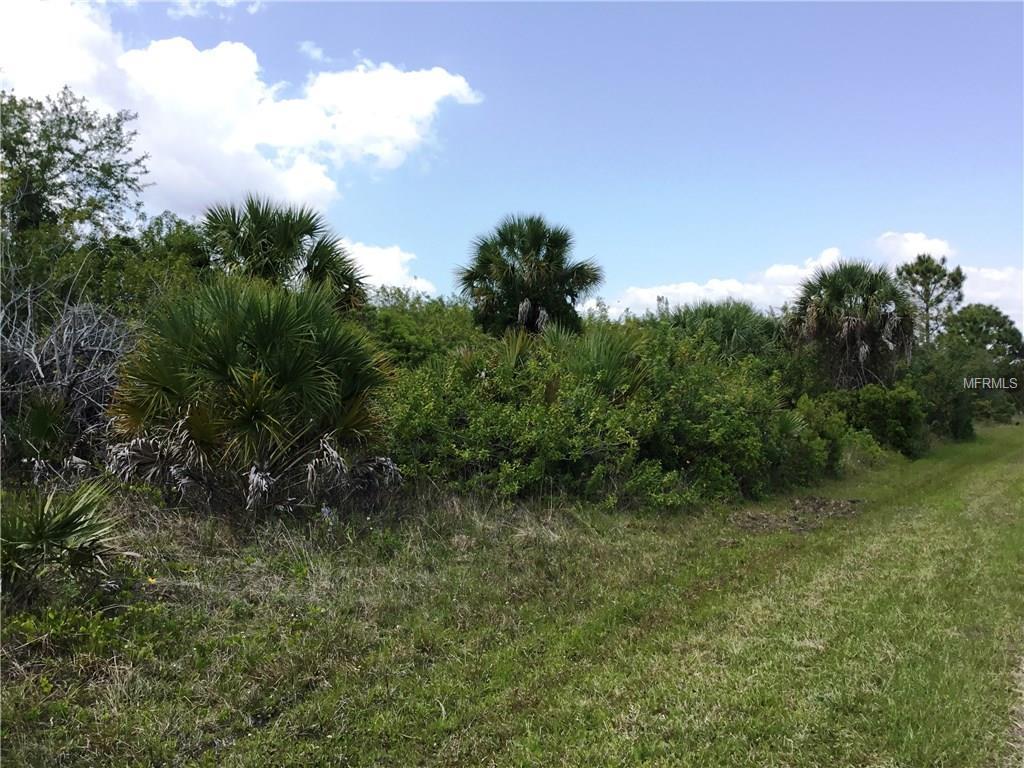 4201 Amoroso Street - Photo 1