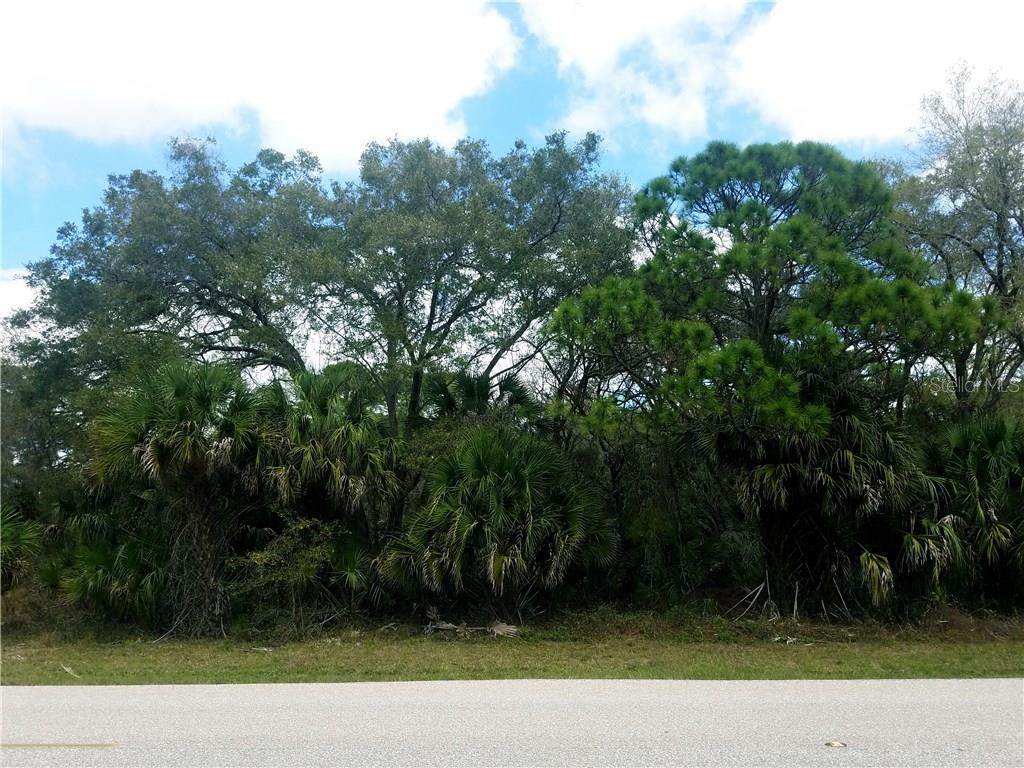 15476 Chamberlain Boulevard - Photo 1