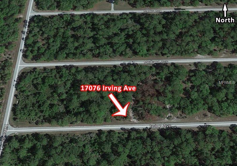 17076 Irving Avenue - Photo 1