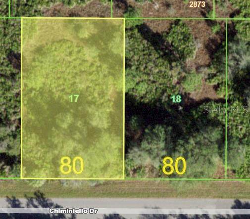 13172 & 13164 Chiminiello Drive - Photo 1