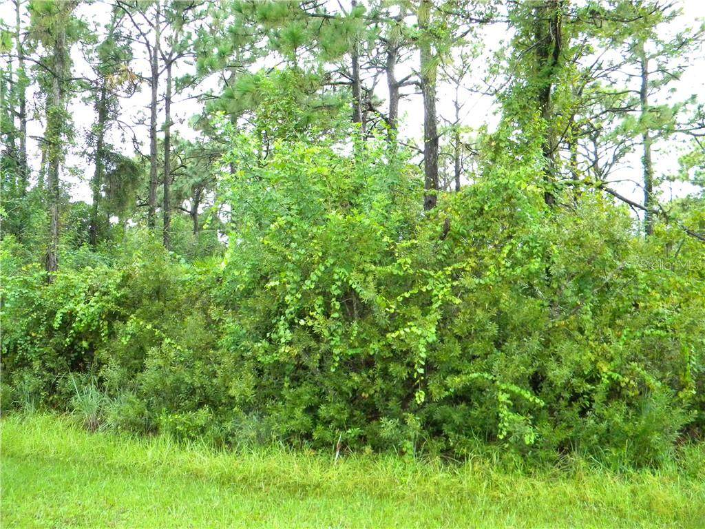 7353 Skycrest Street - Photo 1