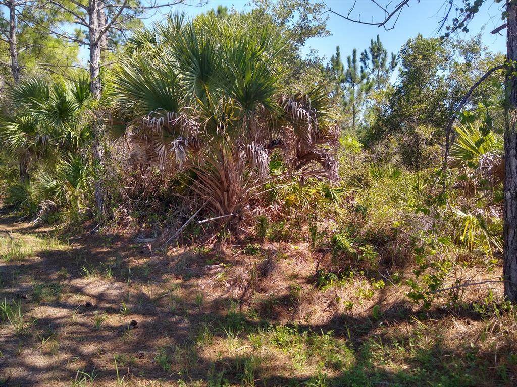 17101 Constance Lane - Photo 1