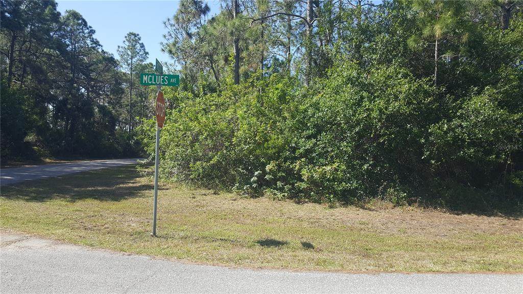 Tasco Drive - Photo 1