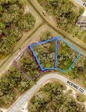 Lots 30 & 31 Scenic Road - Photo 1