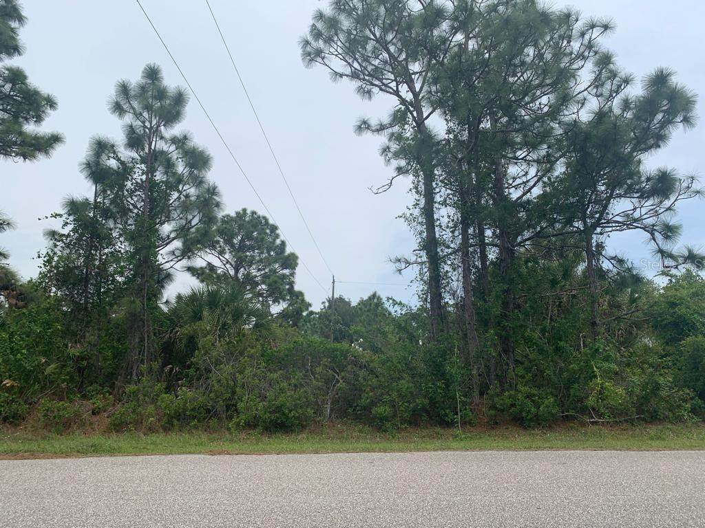 4312 Callaway Street - Photo 1