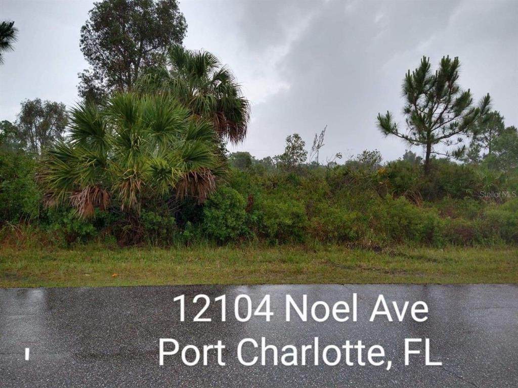 12104 Noel Avenue - Photo 1