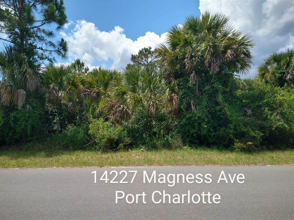 14227 Magness Avenue - Photo 1