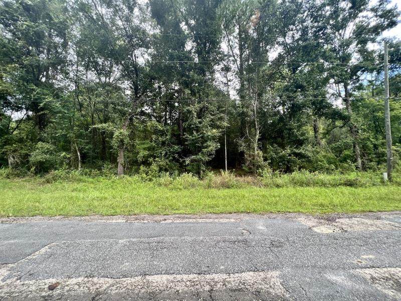 271 Eridani Court - Photo 1