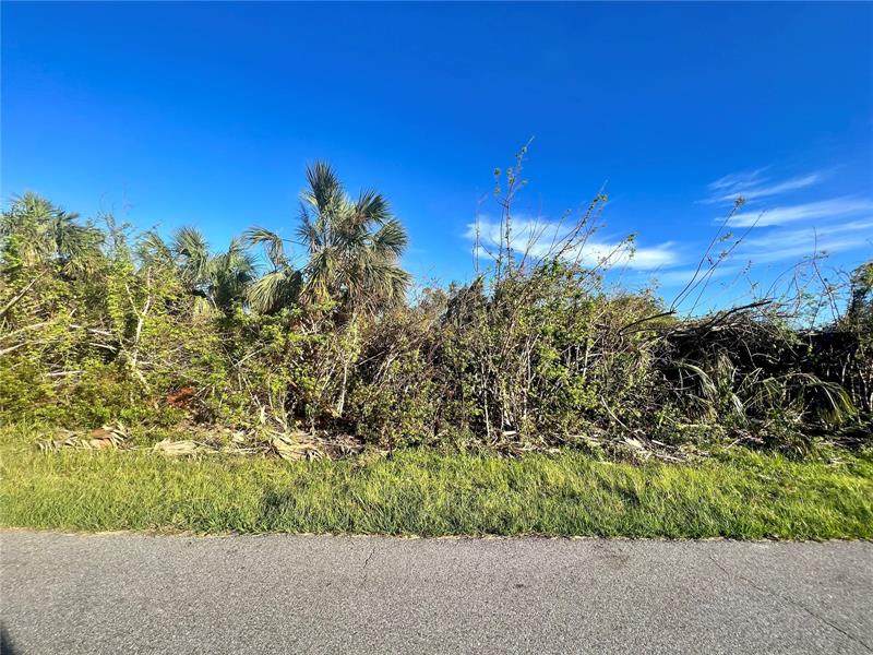 9471 Impala Circle - Photo 1