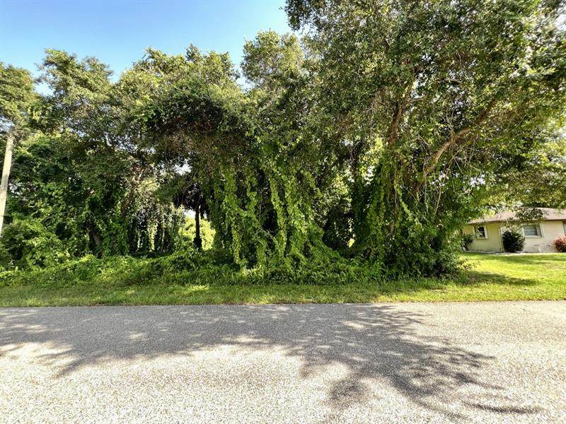 1085 Belmar Avenue - Photo 1