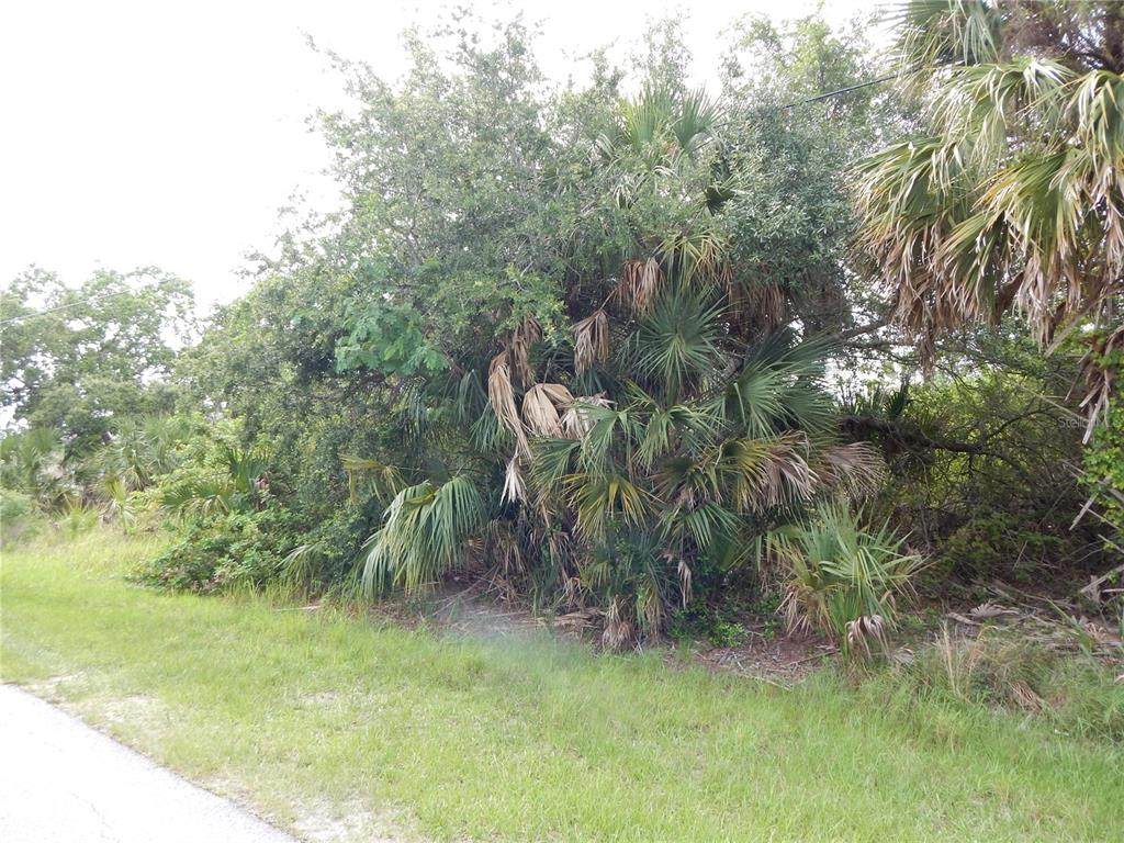 17412 Lake Worth Boulevard - Photo 1