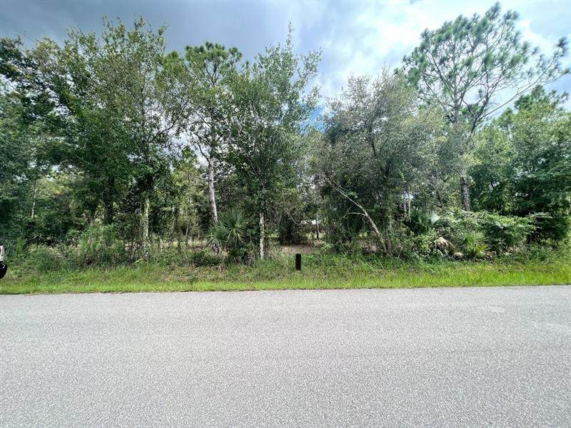 28171 Tristan Drive - Photo 1