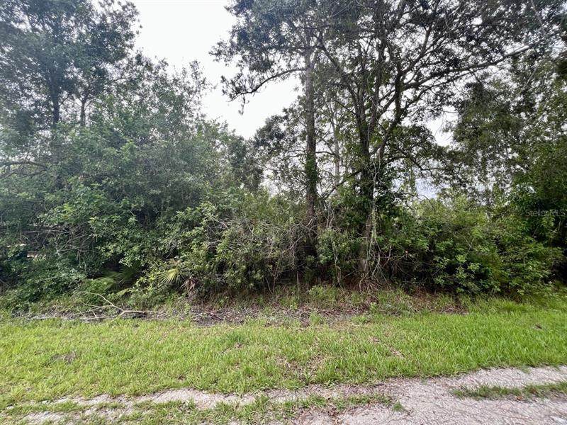 12046 Dahlia Street - Photo 1
