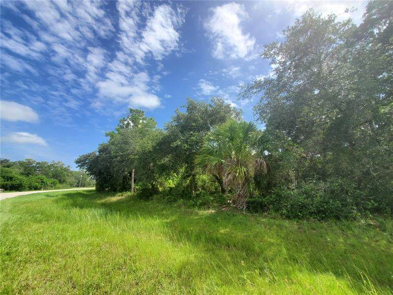 2072 & 2060 Cornelius Boulevard - Photo 1