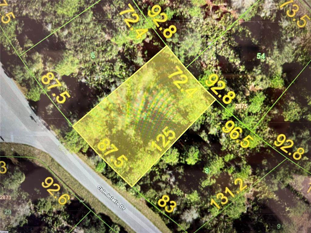 13291 Chiminiello Drive - Photo 1