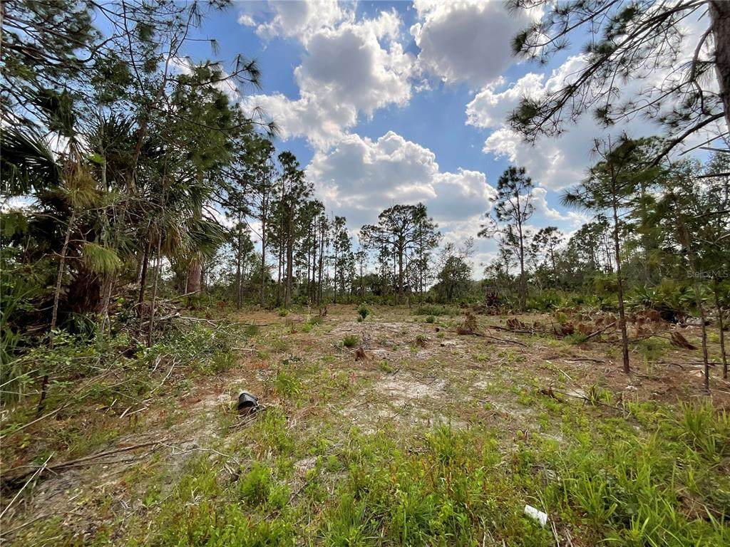 14371 Cannel Lane - Photo 1