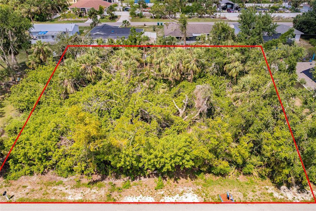2113 Wonderwin Street - Photo 1