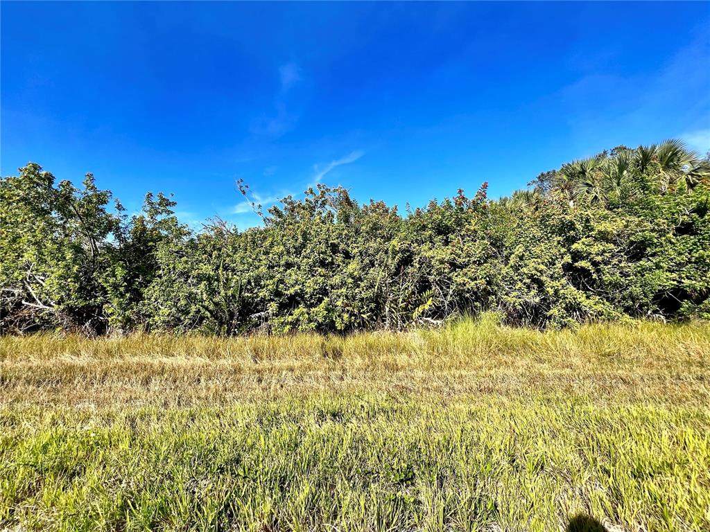 12188 Kilmer Avenue - Photo 1