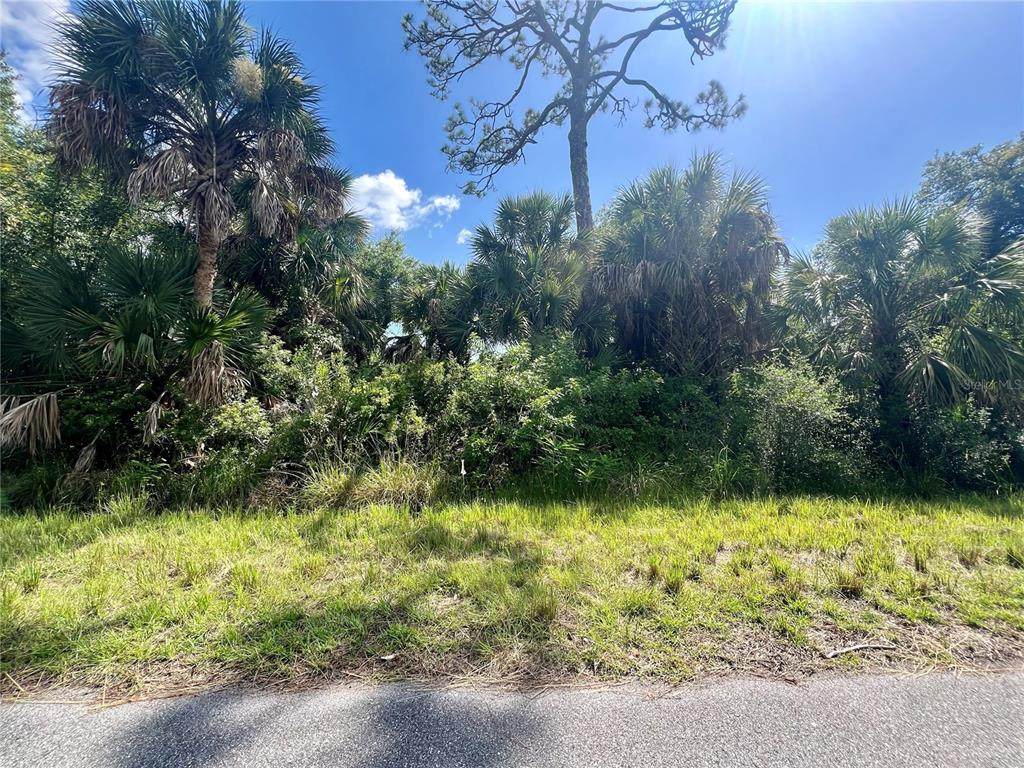 539 Mcdill Drive - Photo 1