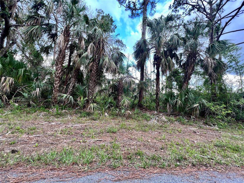 13475 Ketridge Avenue - Photo 1