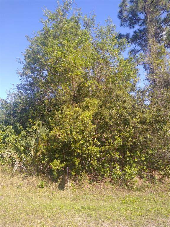 306 Mcdill Drive - Photo 1