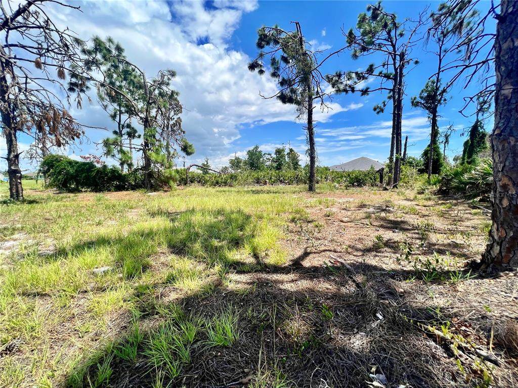 228 Fairway Road - Photo 1