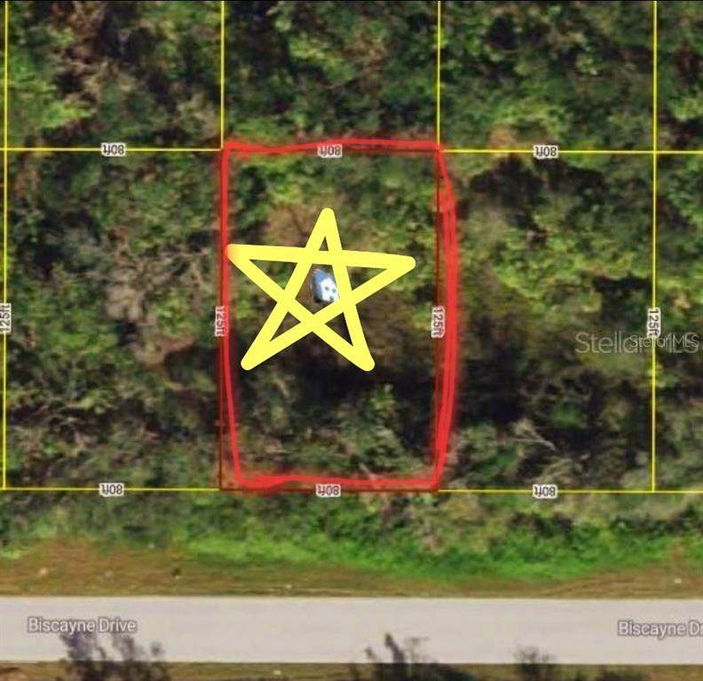 972 Biscayne Drive - Photo 1