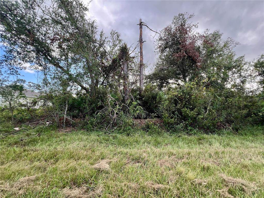 12189 Vaughan Avenue - Photo 1
