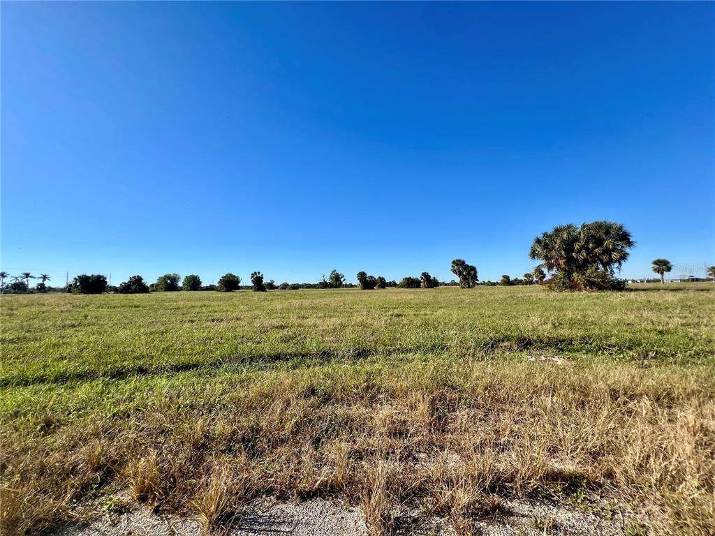 15 Blossom Lane - Photo 1
