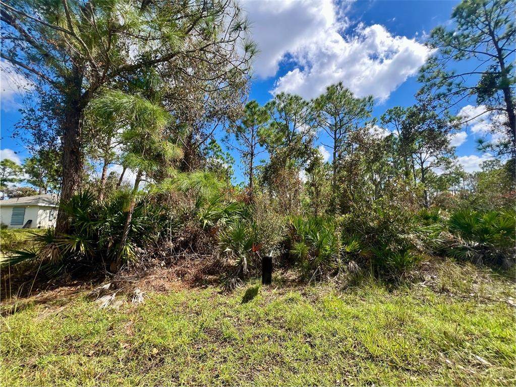 12334 Hindle Avenue - Photo 1