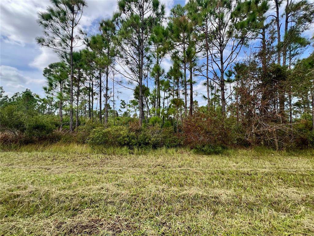 451 Fellenz Street - Photo 1